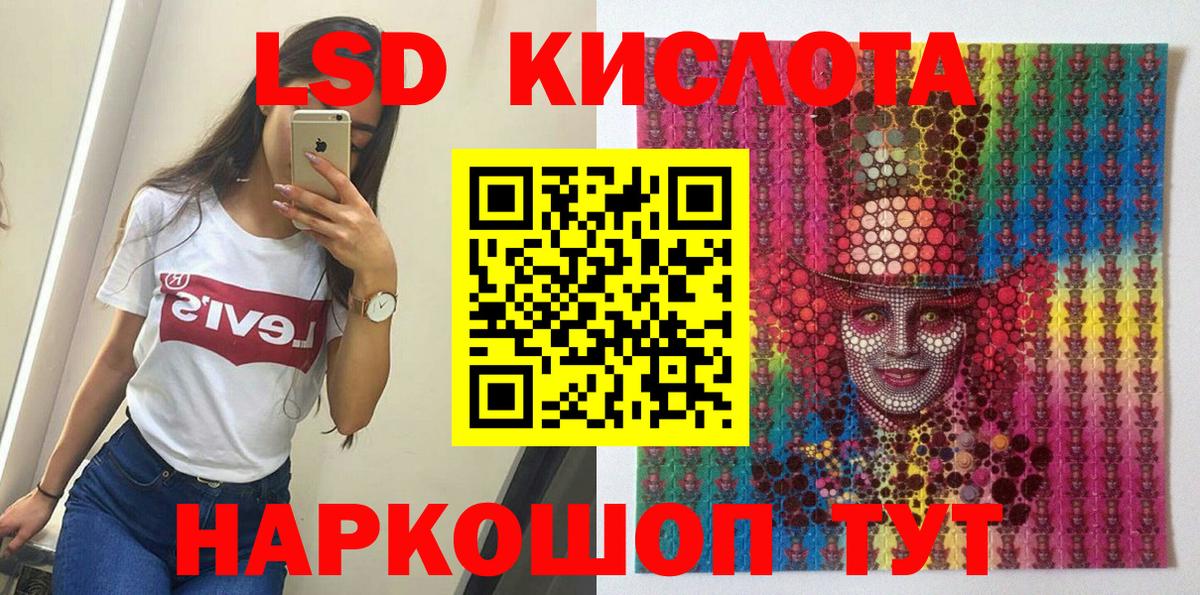 A PVP Майкоп