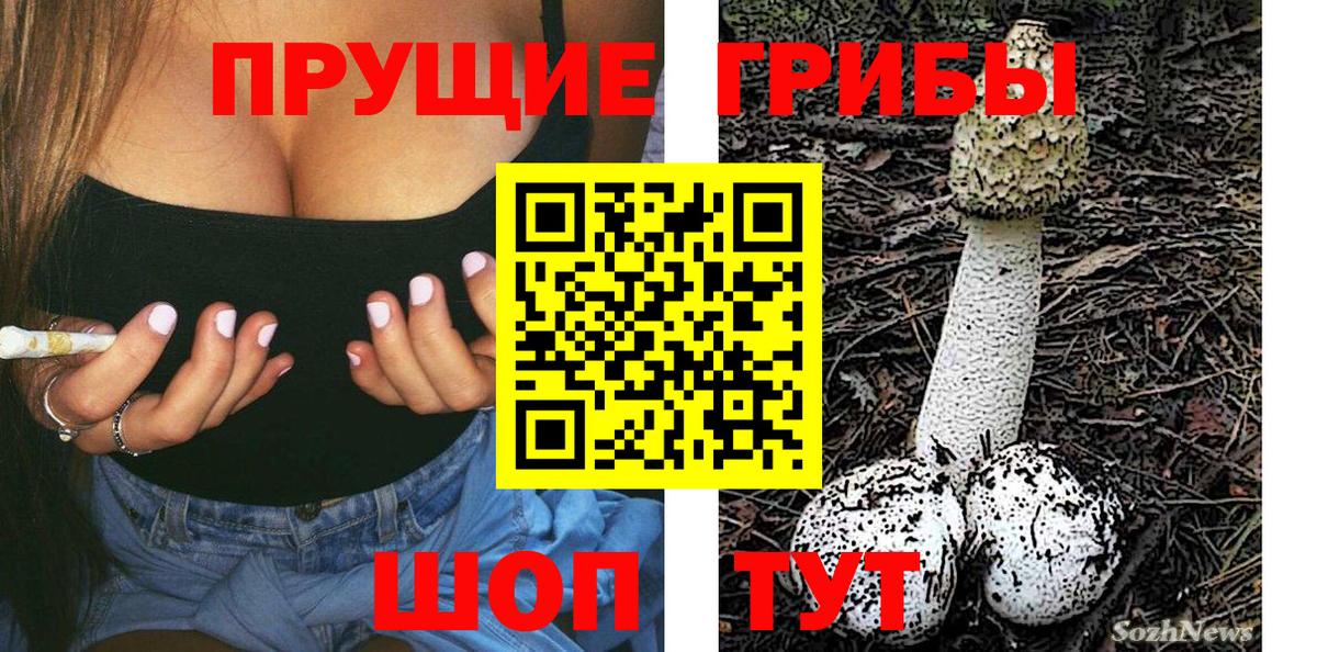 Псилоцибиновые грибы Psilocybine cubensis Майкоп