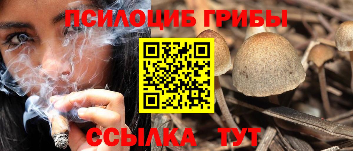 Псилоцибиновые грибы MAGIC MUSHROOMS  Псилоцибиновые грибы Cubensis  Вход с VPN  Майкоп 
